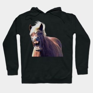 Icelandic Horse Laughing Out Loud Hoodie